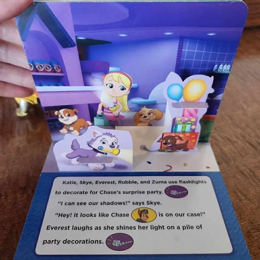 Paw patrol bundle Skye Marshall Zuma figurines book random toys